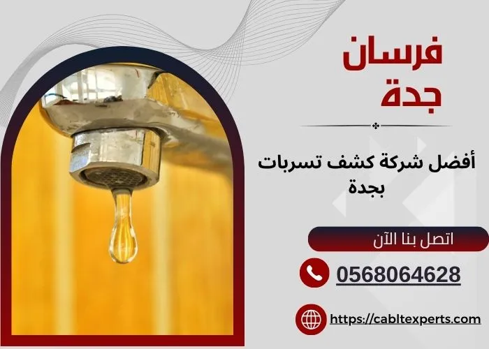 كشف تسربات 
